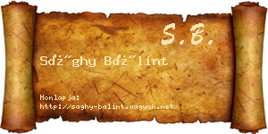 Sághy Bálint névjegykártya